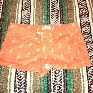 Cute shorts with flamingo canvas/target